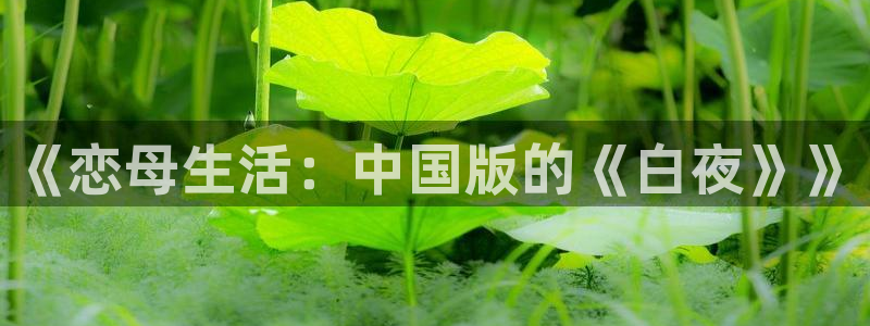喵趣漫画在线看